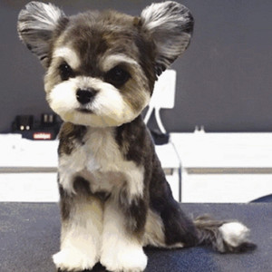 欧美射精猎奇网站视频
