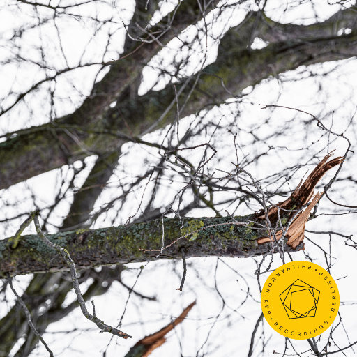 欧美射精猎奇网站视频
